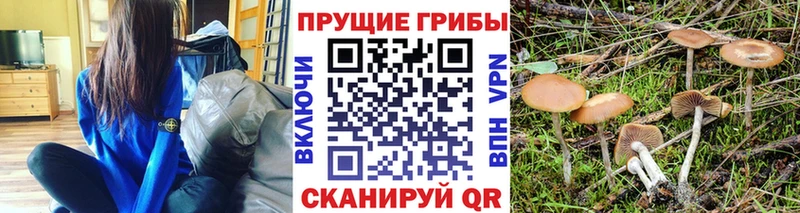 Галлюциногенные грибы ЛСД Камешково